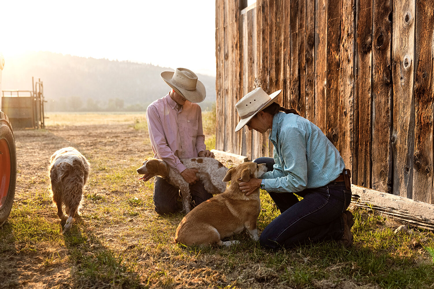 Oxbow good dogs